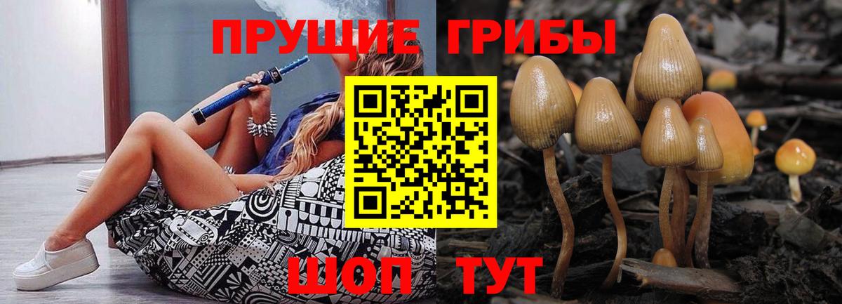 Киселёвск  Галлюциногенные грибы MAGIC MUSHROOMS  Вход с VPN 